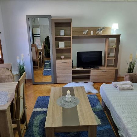 Family Apartmani Le Leskovac  Pokoj fotografie