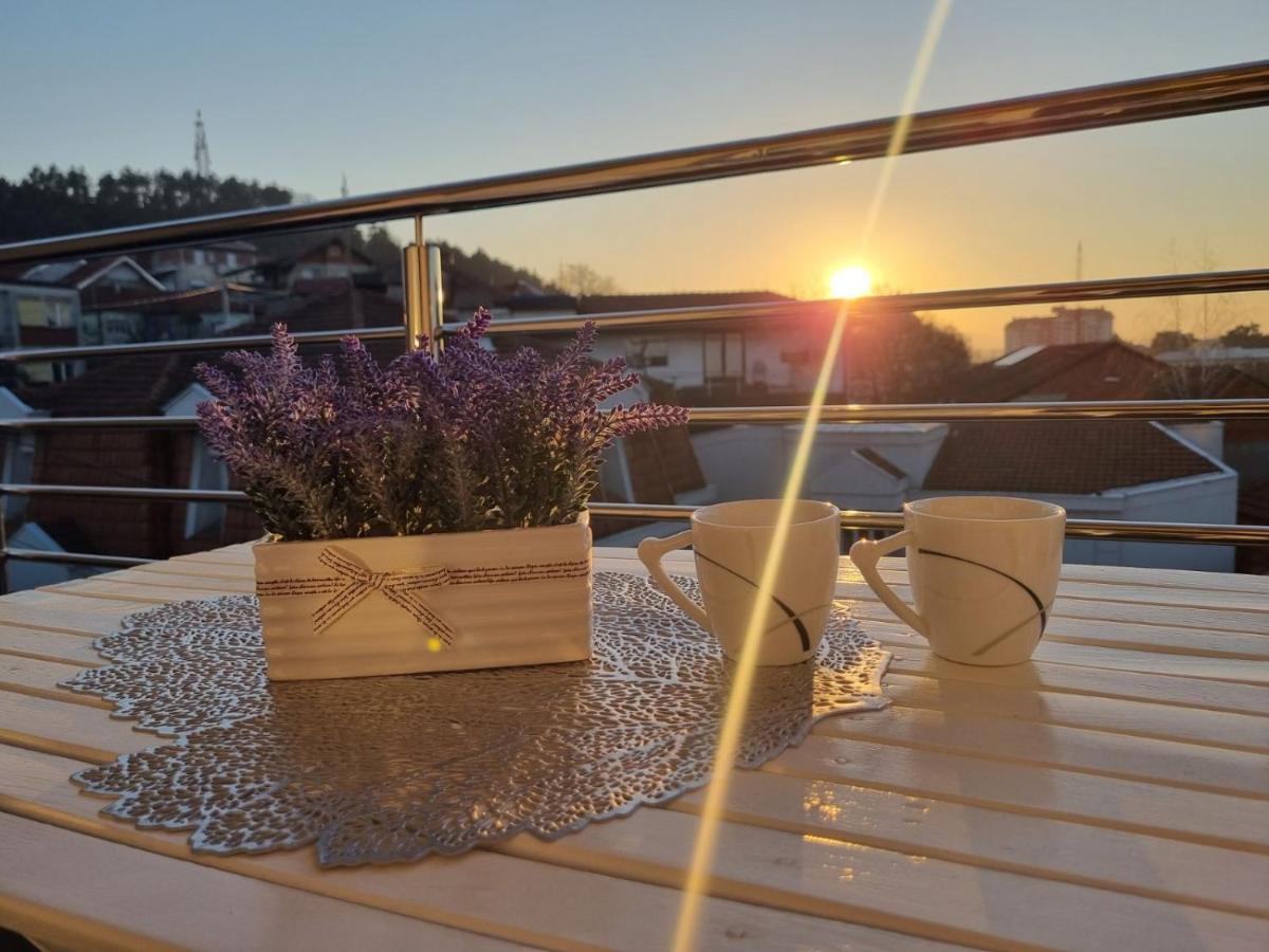Family Apartmani Le Leskovac  Exteriér fotografie
