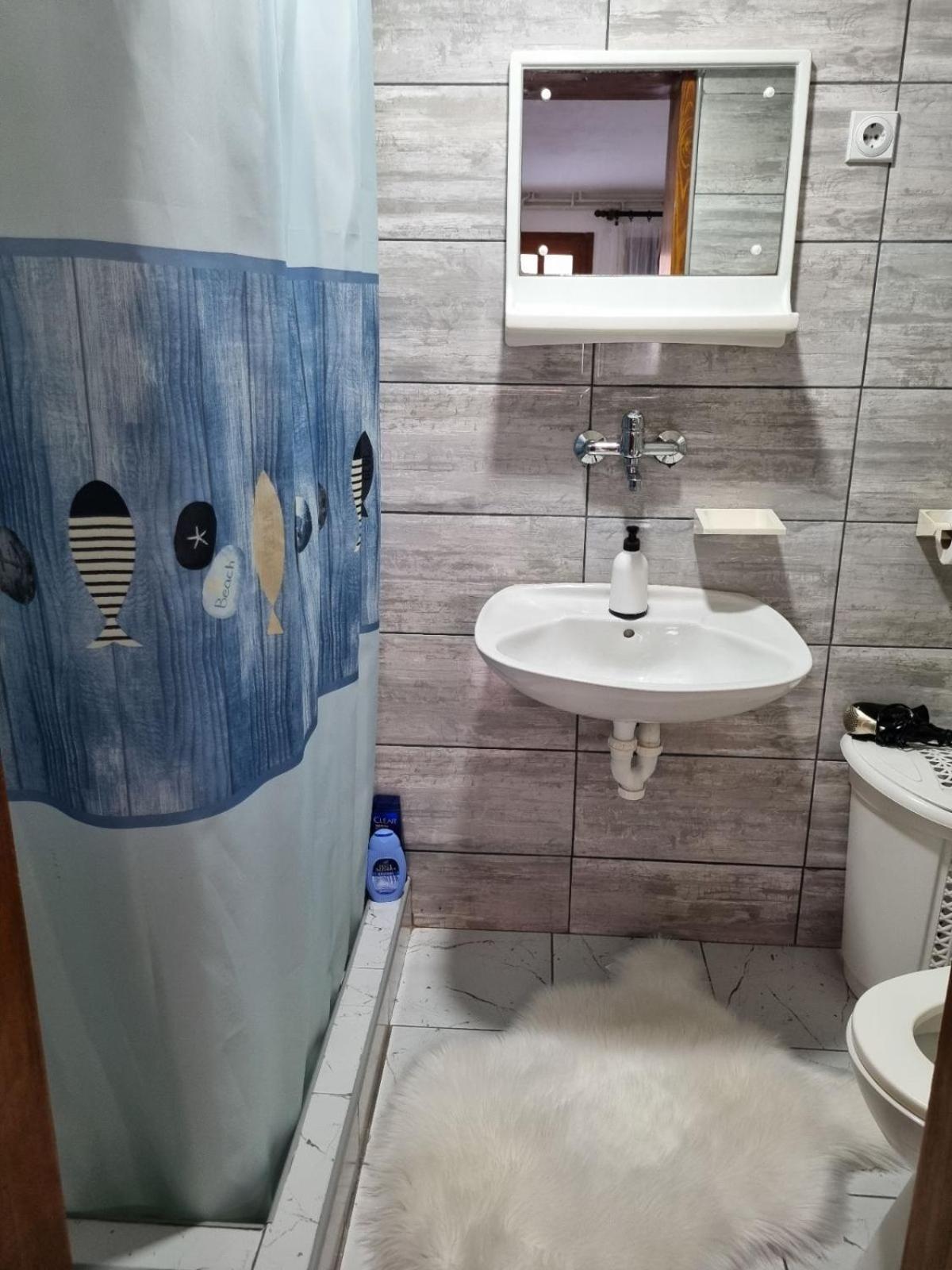 Family Apartmani Le Leskovac  Pokoj fotografie